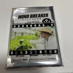 映画　WINDBREAKER 上杉柊平 梅宮一 アクスタ