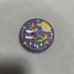 Item thumbnail for item 876d9856-83e4-4330-b243-db9eb72299b9