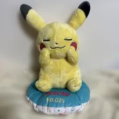 ポケモン1番くじA賞☆ピカチュウ☆