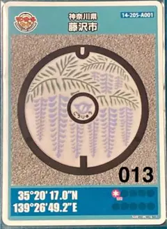 Item thumbnail for item db0ba531-5425-4db6-8c6f-8b0e9f9bfb0d