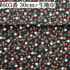 603番 リバティ タナローン イザベルスパークル ブラック クリスマス