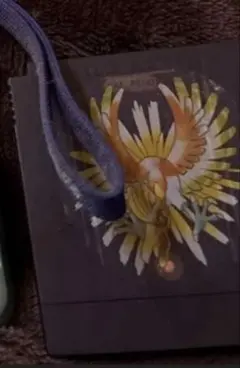 ポケットモンスター 金 シャーマンキング