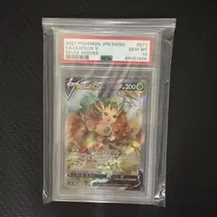 2026年最新】リーフィアv sr psa10の人気アイテム - メルカリ
