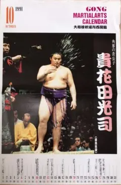 2026年最新】貴乃花 フィギュアの人気アイテム - メルカリ