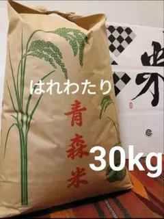 令和7年青森県産 はれわたり 玄米 30kg - メルカリ