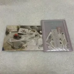 King＆Prince ポートレートシリーズ フレークシール ポストカード