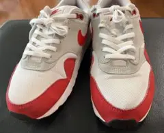 [ジャンク] NIKE AIR MAX1 25cm