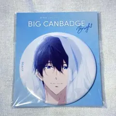 Free! 缶バッジ 七瀬遙 - メルカリ
