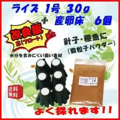 ライズ １号 ３０g+産卵床６個セット◇めだか 餌／メダカ の えさ【d444のサムネイル