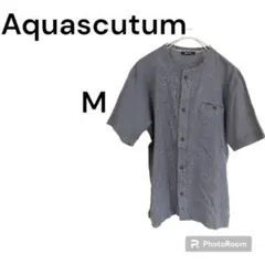 Item thumbnail for item 16c9c98e-0bdb-4bcc-92e1-edc66c6bb712