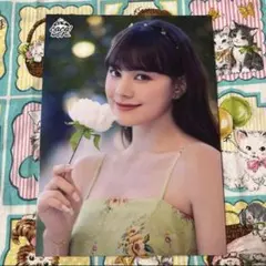 ニナ　ラントレ　coconutfes スタジアム　NIZIU ランダムトレカ