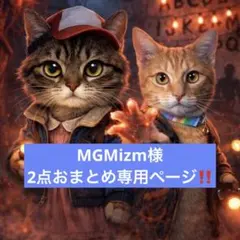 MGMizm様2点おまとめ専用ページ