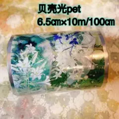 海外マスキングテープ巻売り 失焦夢境 装飾マステ 贝壳光petテープ