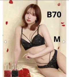 レースブラジャーショーツセット B70 M ブラック