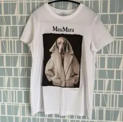 Intrend(MaxMaraアウトレット) 犬プリント Tシャツ XSサイズ 2025年最新】maxmara tシャツ 犬の人気アイテム - メルカリ