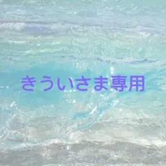 きういさま専用