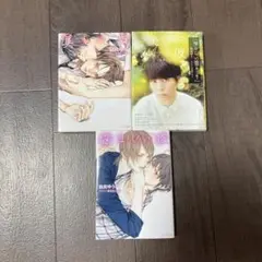美しい彼　1-3巻