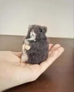 羊毛フェルト ハムスター 人形　ぬいぐるみ　キャンベルハムスター 黒　灰色