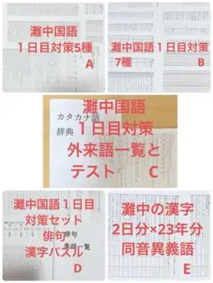 灘中国語対策　ABCDE 国語知識13種+外来語+俳句+漢字パズル+過去問漢字 2026年最新】灘外来語の人気アイテム - メルカリ