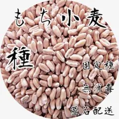 アリエル様 リクエスト 4点 まとめ商品