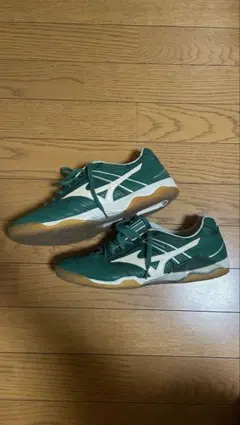 Mizuno フットサルシューズ　27cm