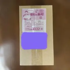 ポケモンカードゲーム　スペシャルBOX　ポケモンセンターヒロシマ　完全未開封