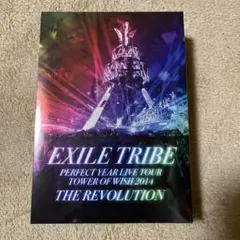 EXILE TRIBE/EXILE TRIBE PERFECT YEAR LI…