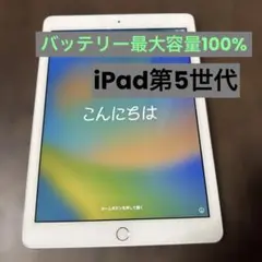 iPad 第5世代　Wi-fi+Cellularモデル