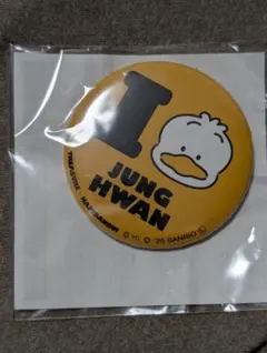 TREASURE ジョンファン 缶バッジ 44個セット　バラ売り可 2025年最新】TREASURE缶バッジの人気アイテム - メルカリ