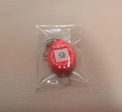 ぽちっち　ガチャ　ミニチュアチャームコレクション　たまごっち