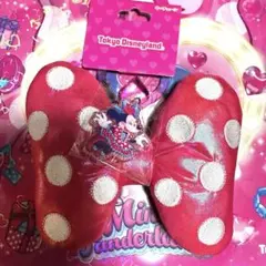 【時間限定】ディズニーパルパルーザ ミニーのファンダーランド キーチェーン