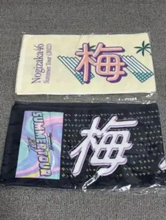 Item thumbnail for item adbd0bf8-bf6d-4cad-b960-67850093f5a9