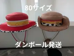 ディズニー ファンキャップ トイストーリー ウッディ ジェシー セット