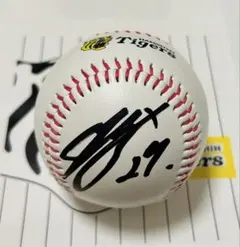 Item thumbnail for item eac015b5-4ccd-4024-bdb1-ad7216557f91