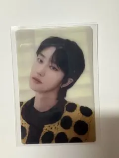 SEVENTEEN セブチ THE8 FOLLOW PET PHOTO