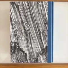 Robert Rauschenberg Combines アートブック - メルカリ
