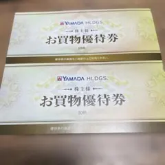 ヤマダ電機　株主優待券　お買物優待券10000円分　500円×20枚