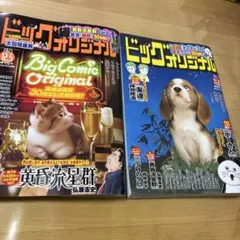 ビックコミックオリジナル