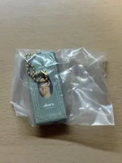 Item thumbnail for item 91141c9f-2ac7-48b6-89c3-d4cd5e6d72c5