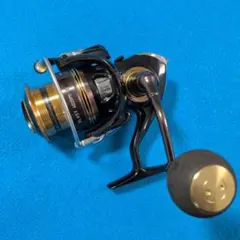 Daiwa BLAST （ブラスト）6000D-H スピニングリール DAIWA（釣り） 18 ブラスト LT6000D-H スピニングリール - 最安値