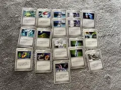 ポケモンカード トレーナーズ グッズ まとめ売り