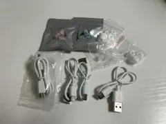 USBケーブル4本セットとイヤーピース