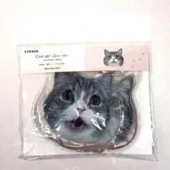 もちまる日記　保冷剤　2個セット　新品未使用