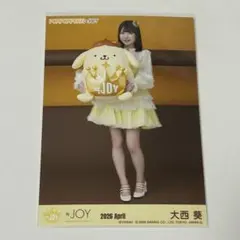 ≒JOY 大西葵 ポムポムプリン 生写真 - メルカリ