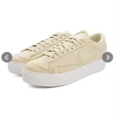 Item thumbnail for item d58db50f-a131-4b34-9072-b6693648e906