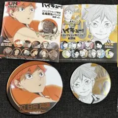 ハイキュー　ファンパーク　日向翔陽　デコレクション缶バッジ 2点