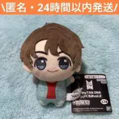 BTS TinyTAN タイニータン DNA ちびぐるみ ジョングク グク ③