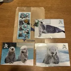 鳥羽水族館　ラッコ　メイちゃんキラちゃん　シール　ポストカード