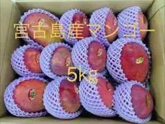 訳あり 宮崎県産完熟マンゴー 3.6Kg - メルカリ