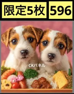 限定5枚　レアパネル生地　新柄　ジャックラッセルテリアパネル生地